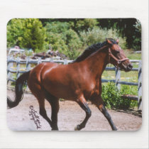 Standardbred Horse, Mousepad