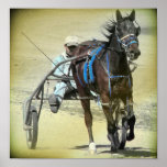 Standardbred Print