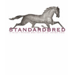 horse, pony, equine, equestrian, standardbred,