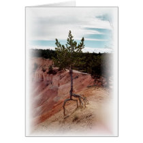Standing Alone at Bryce Canyon cards by kell521 Standing Alone at Bryce Canyon cards
