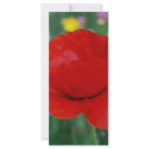 Standing Alone rack cards