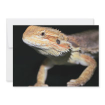 Standing Bearded Dragon Invitation