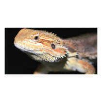 Standing Bearded Dragon Customized Photo Card