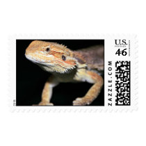 Standing Bearded Dragon Postage Stamp