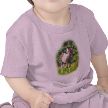 Standing Dartmoor Pony Foal infant tshirt
