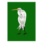 Standing Egret Green Custom Announcements