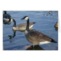 Standing  Goose card