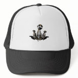 Standing Meerkats hats