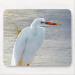 Standing on the beach mouse pads