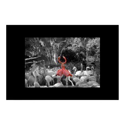 Standing Out Print by providencephoto