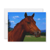 Standing Proud invitations