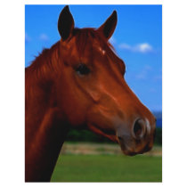 Standing Proud letterhead