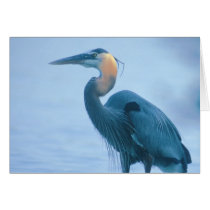 Standing Tall Greeting Cards