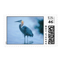 Standing Tall Postage Stamps