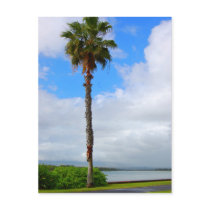 "Standing Tall" postcard