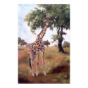 Standing Tall Poster posters