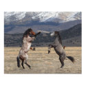 Standing Tall posters by PhotoJunkyGeno Standing Tall posters