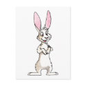 Standing White Rabbit postcards