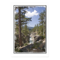 Stanislaus River near Kennedy Meadows- Poster posters
