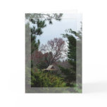 Stanley Park Card