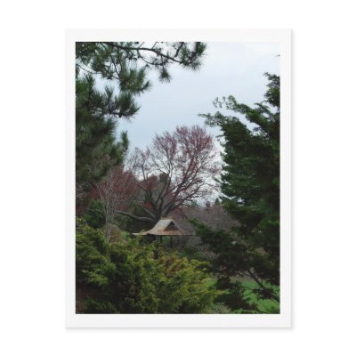 Stanley Park Postcard by threesalamanders