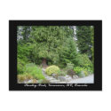 Stanley Park, Vancouver, BC postcard