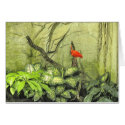 Stanley Park Zoo cards
