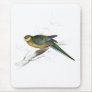 Stanley Parrakeet (young male) by Edward Lear Mouse Pad