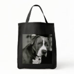 Stanley the Pitbull bags