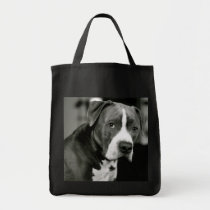 Stanley the Pitbull bags