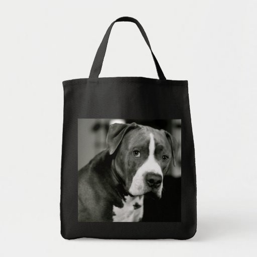 Stanley the Pitbull Bags