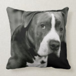 Stanley the Pitbull Pillow