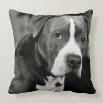 Stanley the Pitbull pillows