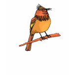Stanlin Sparrow Tee Shirts