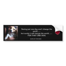 Stan's world bumper sticker!
