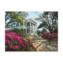 Stanton Hall - Spring in Natchez, Mississippi Post Card