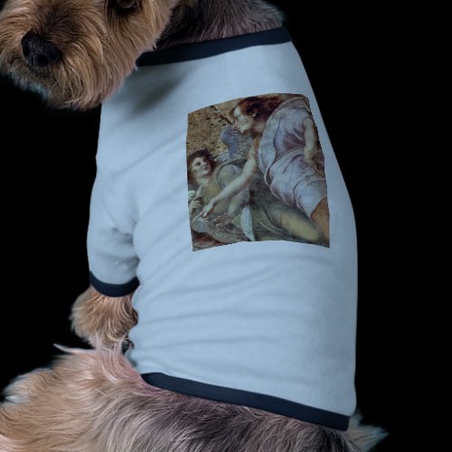 Stanza Della Signatura, For Pope Julius Ii In The Pet Shirt