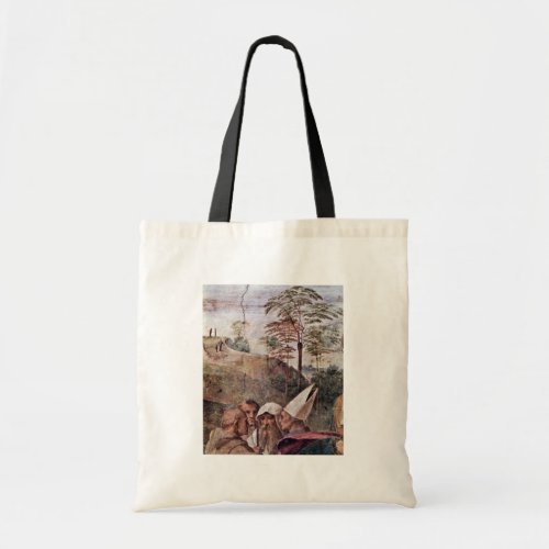 Stanza Della Signatura In The Vatican For Pope Jul Canvas Bag