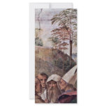Stanza Della Signatura In The Vatican For Pope Jul Rack Card