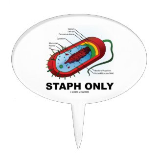 Staph Only (Bacterium Diagram Prokaryote Bacteria) Cake Toppers