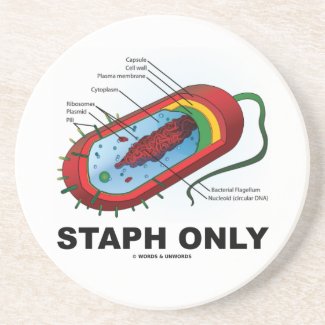 Staph Only (Bacterium Diagram Prokaryote Bacteria) Beverage Coasters