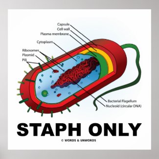 Staph Only (Bacterium Diagram Prokaryote Bacteria) Poster