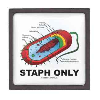 Staph Only (Bacterium Diagram Prokaryote Bacteria) Premium Keepsake Boxes
