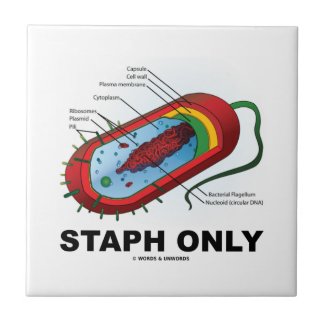 Staph Only (Bacterium Diagram Prokaryote Bacteria) Ceramic Tile