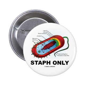 Staph Only (Prokaryote Health Medicine Humor) Pinback Buttons