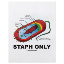 Staph Only (Prokaryote Health Medicine Humor) Full Color Flyer