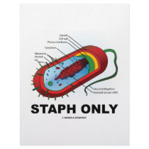 Staph Only (Prokaryote Health Medicine Humor) Letterhead Design