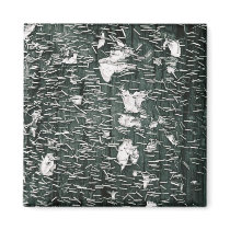 Staples magnets by kmk101773 Staples magnets