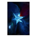 Star Among the Stars posters