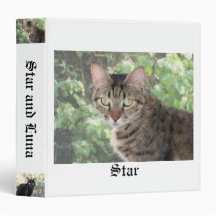 Star and Luna binder